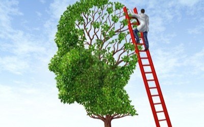 Il medico e la mente mindful.